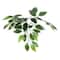 4ft. Artificial Variegated Ficus Bush with Square Willow Basket